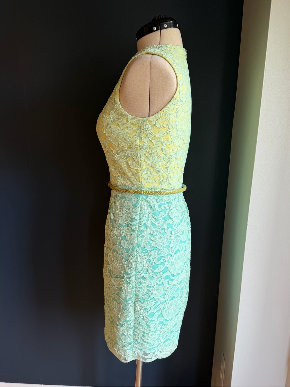 Maggy London Petites, Sleeveless Corded Lace Overlay Sheath Dress - Picture 4 of 10